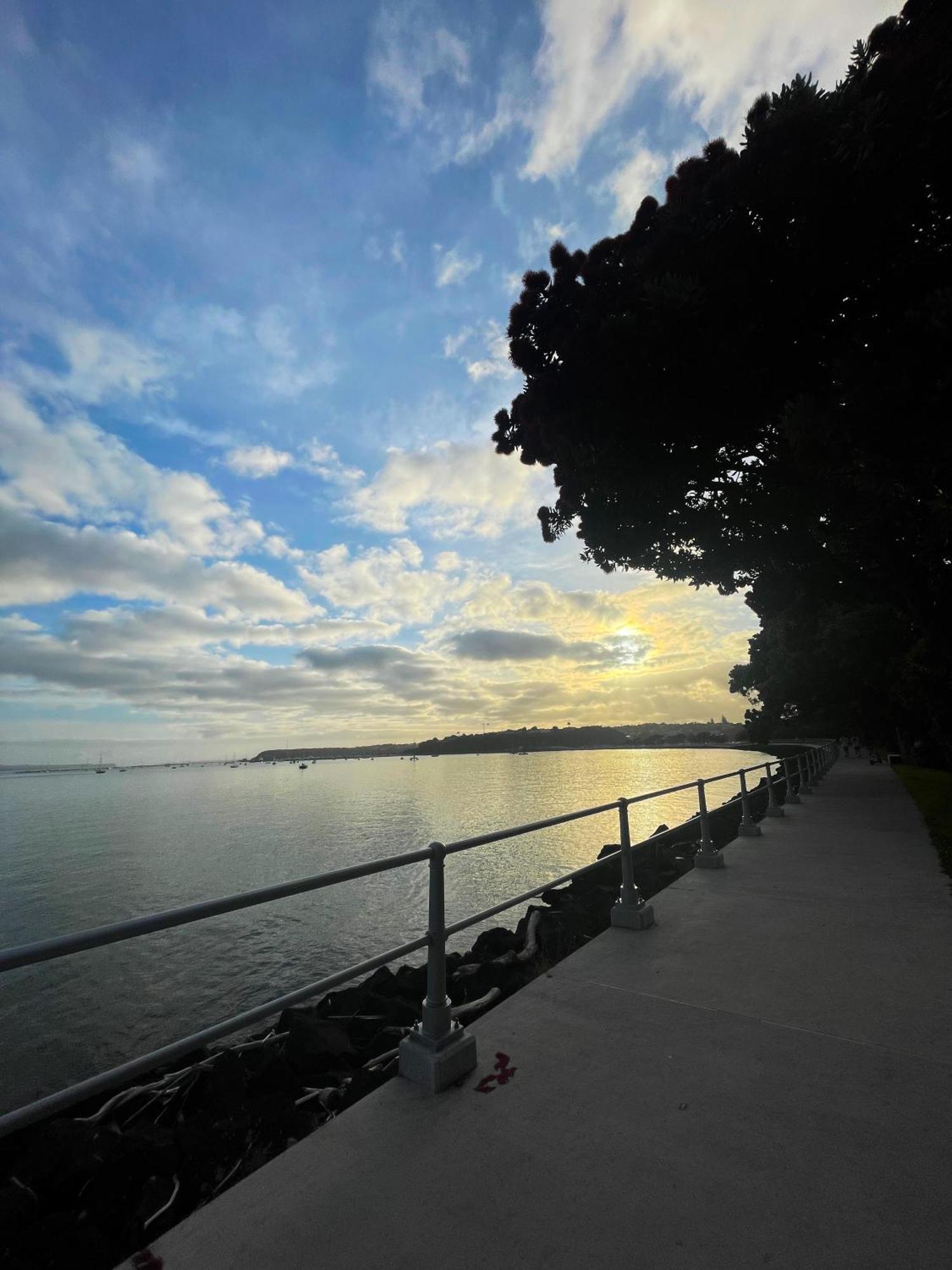 Luxury Apartment - Parking - Hot Tub - Stunning Views Auckland Luaran gambar